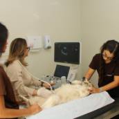 Equipe 4