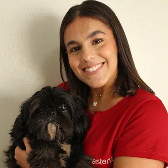 Equipe 8